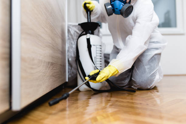 Best Local Pest Control Services  in Lake Delta, NY