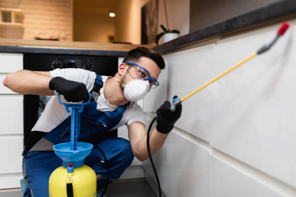 Best Mosquito Control Services  in Lake Delta, NY