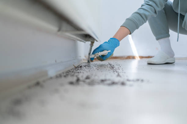 Best Wasp Removal Services  in Lake Delta, NY