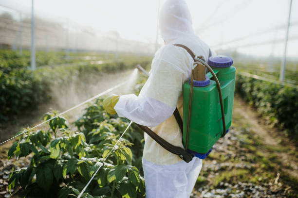 Best Best Pest Control Companies  in Lake Delta, NY